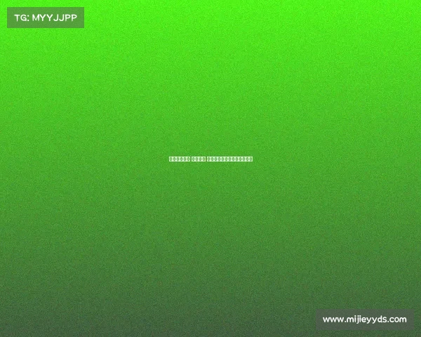 首发盛典揭幕 亮点纷呈 借力创新科技引领行业新风潮